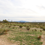Residential: 2.39acres Land AZ